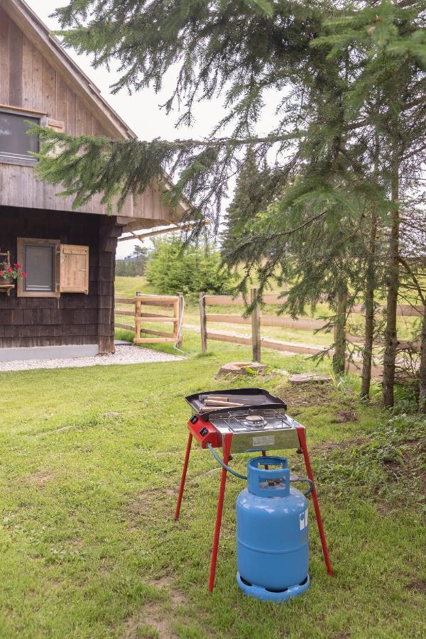 Zalin Planinski Raj Goreljek Exterior foto